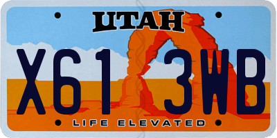 UT license plate X613WB