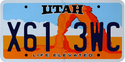 UT license plate X613WC