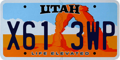 UT license plate X613WP
