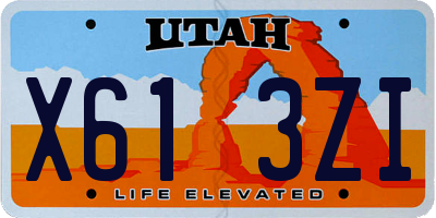 UT license plate X613ZI