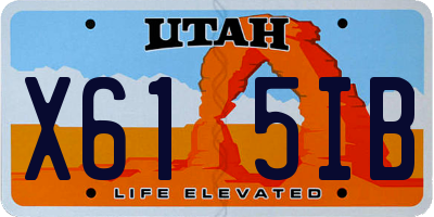 UT license plate X615IB