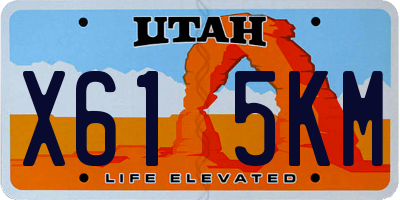 UT license plate X615KM
