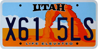 UT license plate X615LS