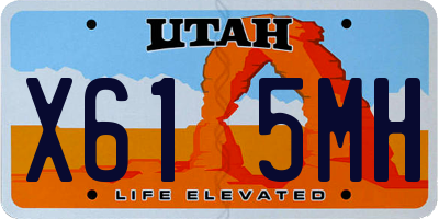 UT license plate X615MH
