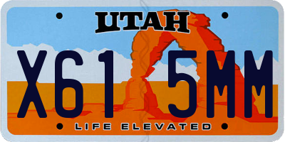 UT license plate X615MM