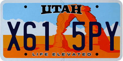 UT license plate X615PY
