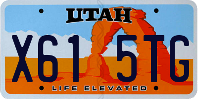 UT license plate X615TG