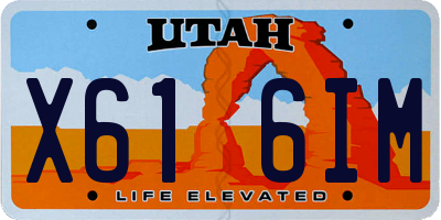 UT license plate X616IM