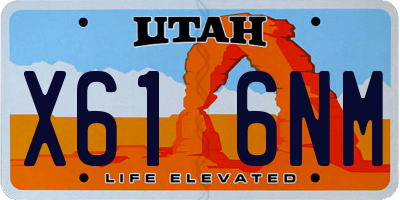 UT license plate X616NM