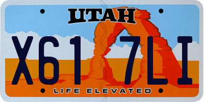 UT license plate X617LI