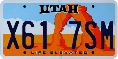 UT license plate X617SM