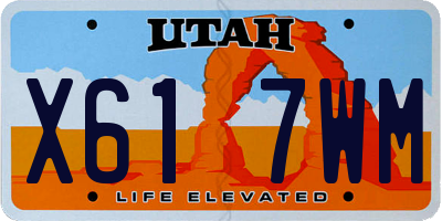 UT license plate X617WM