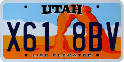 UT license plate X618BV
