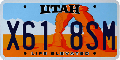 UT license plate X618SM