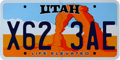 UT license plate X623AE