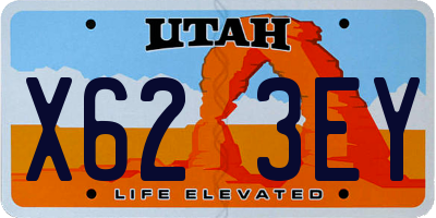 UT license plate X623EY