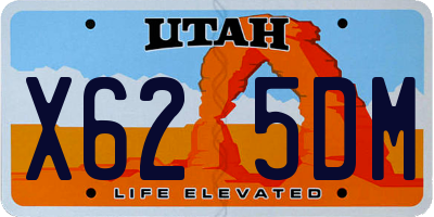 UT license plate X625DM