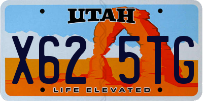 UT license plate X625TG