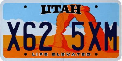 UT license plate X625XM