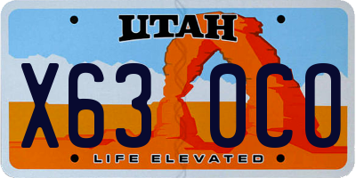 UT license plate X630CO