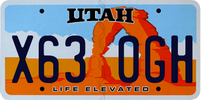 UT license plate X630GH
