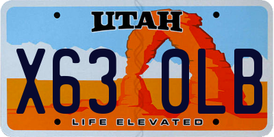 UT license plate X630LB