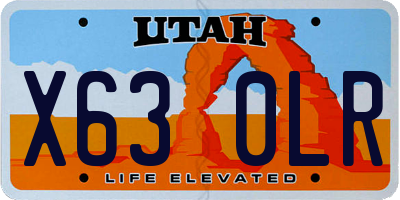 UT license plate X630LR