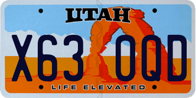 UT license plate X630QD