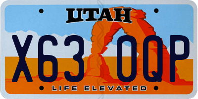 UT license plate X630QP