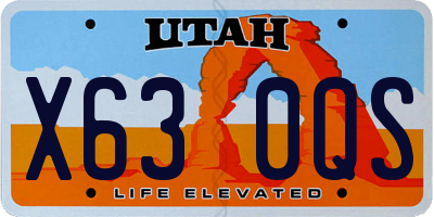 UT license plate X630QS