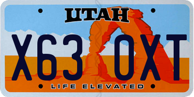 UT license plate X630XT