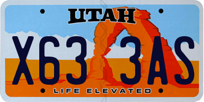 UT license plate X633AS