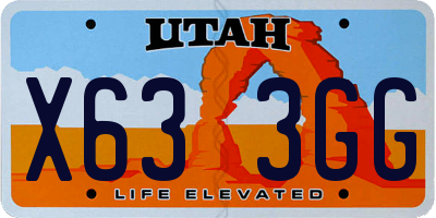 UT license plate X633GG