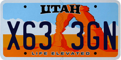 UT license plate X633GN