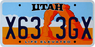 UT license plate X633GX