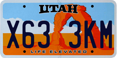UT license plate X633KM