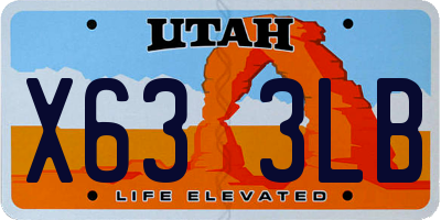 UT license plate X633LB