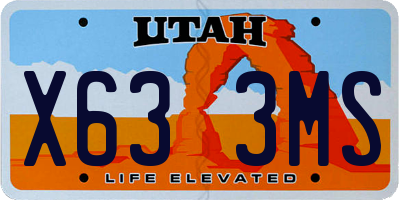 UT license plate X633MS