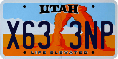 UT license plate X633NP