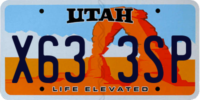 UT license plate X633SP