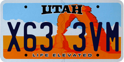 UT license plate X633VM