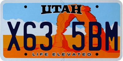 UT license plate X635BM