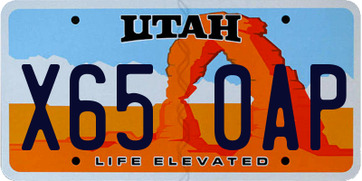 UT license plate X650AP