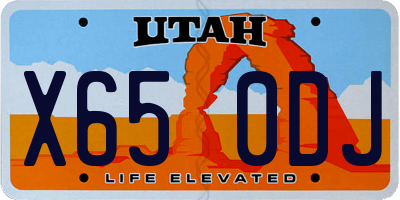UT license plate X650DJ