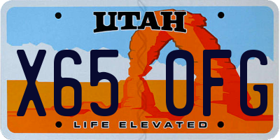 UT license plate X650FG