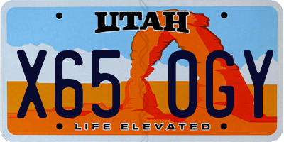 UT license plate X650GY