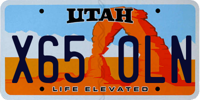 UT license plate X650LN