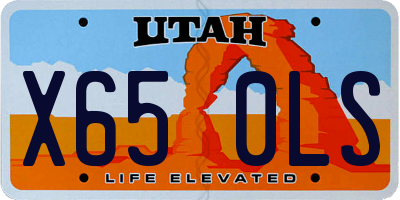 UT license plate X650LS