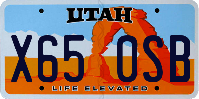 UT license plate X650SB
