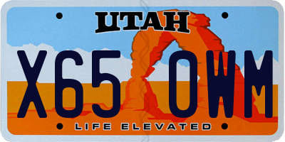 UT license plate X650WM